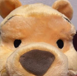 NWT Dream Friends Pillow  Pooh